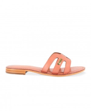 Les Tropeziennes DAMIA Pelle Piatti Mules Rosa | 289-XIPZJQ