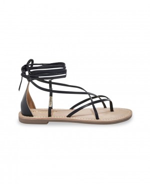 Les Tropeziennes DJOYA Pizzo Up Ankle Sandali Da Gladiatore Nere | 905-RESAXU
