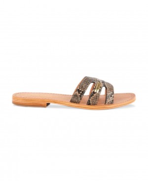 Les Tropeziennes HADAMIA Pelle Piatti Mules Beige Serpent | 284-RILKHC