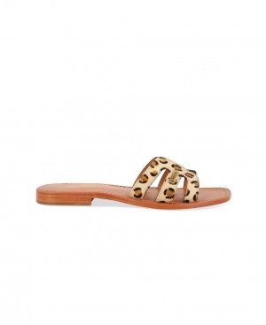 Les Tropeziennes HADAMIA Pelle Piatti Mules Leopardate | 746-AYRUQN