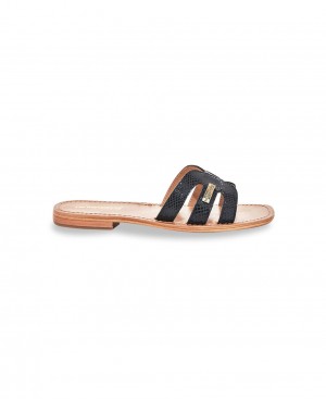 Les Tropeziennes HADAMIA Pelle Piatti Mules Serpent Nere | 397-XYJWBN