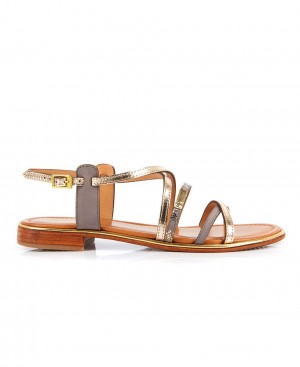 Les Tropeziennes HARRY Pelle Sandali piatti Gris Multi | 936-QNMBZO