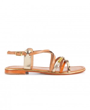 Les Tropeziennes HARRY Pelle Sandali piatti Arancioni Leopardate | 819-BXPMYH