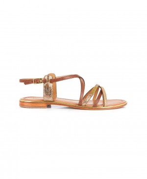 Les Tropeziennes HARRY Pelle Sandali piatti Oro | 607-MNJPWS