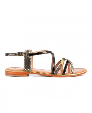 Les Tropeziennes HARRY Pelle Sandali piatti Nere | 345-HAJZBK