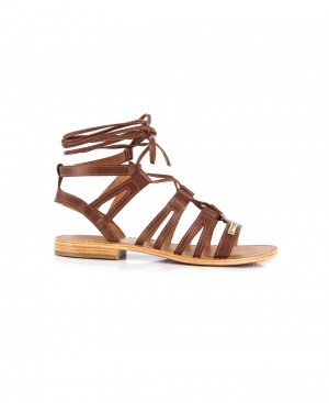 Les Tropeziennes HERCULE Pizzo Up Ankle Pelle Sandali Da Gladiatore Tan | 842-SEPGAV