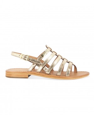 Les Tropeziennes HERISSON Pelle Gladiator Sandali Con Le Dita Oro | 736-NFMEIX