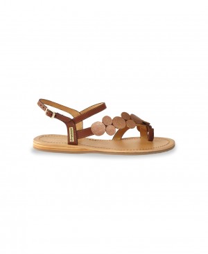 Les Tropeziennes HOLLY Sandali piatti Tan Bronze | 243-STVJRK